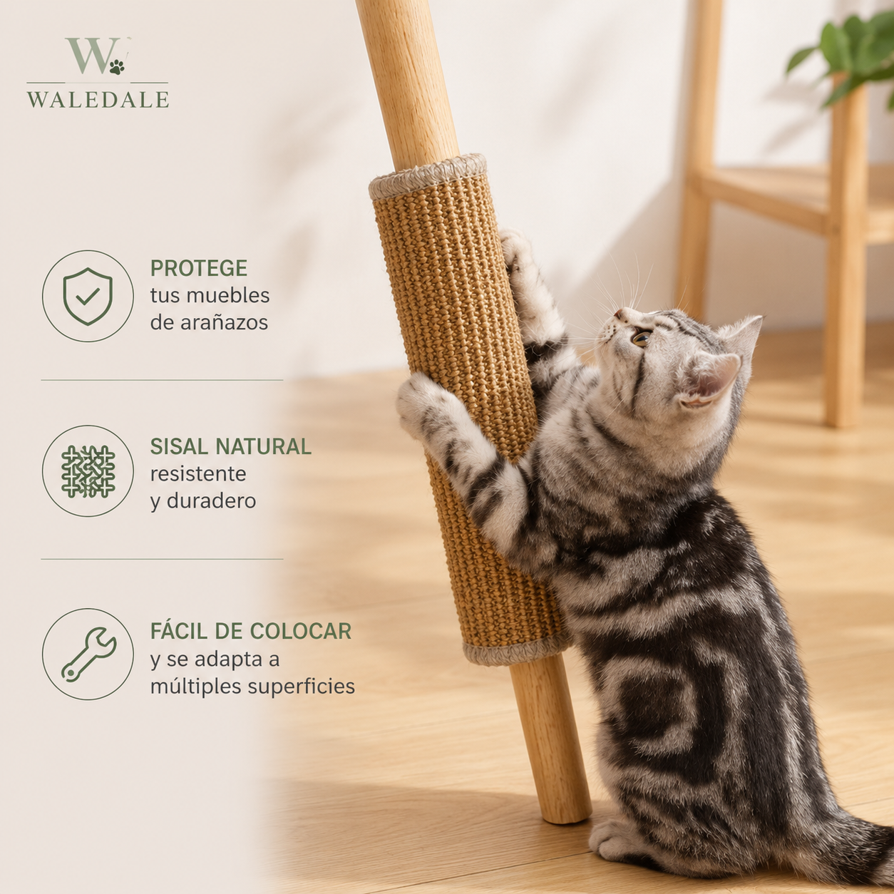 Alfombrilla Rascadora para Gatos