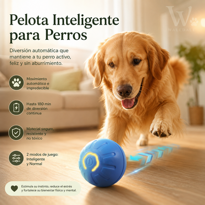 Pelota Inteligente para Mascotas