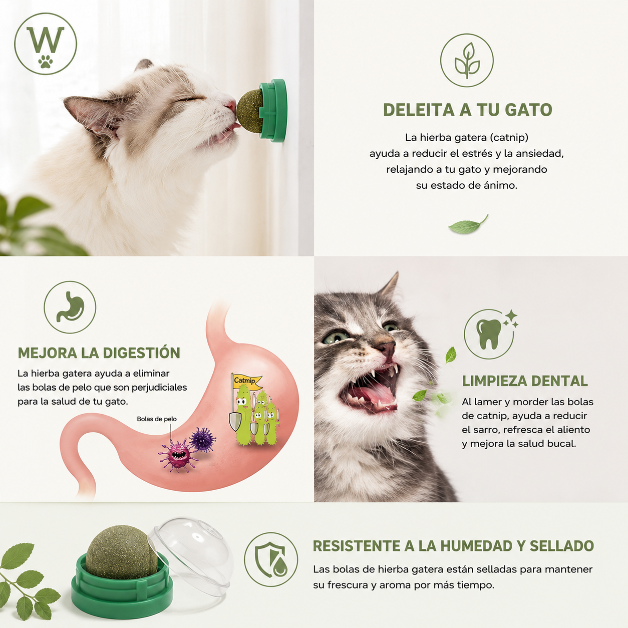 Bolas de Hierba Gatera para Gatos