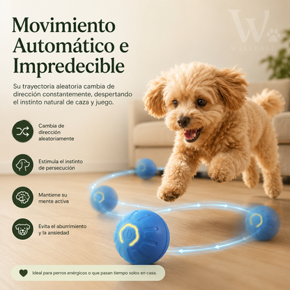 Pelota Inteligente para Mascotas